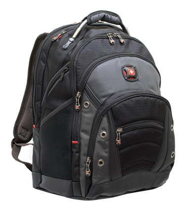 Victorinox synergy backpack web