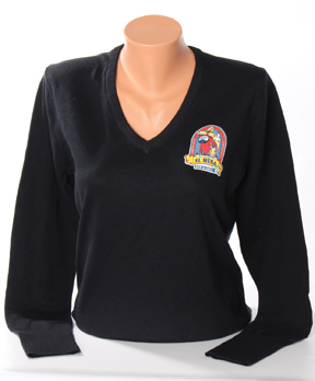 Port Authority Ladies V-neck sweater web