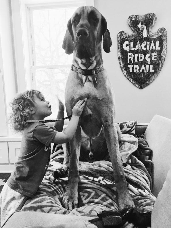 Willow Zavadil listens to her Great Dane's heart with a play stethescope.